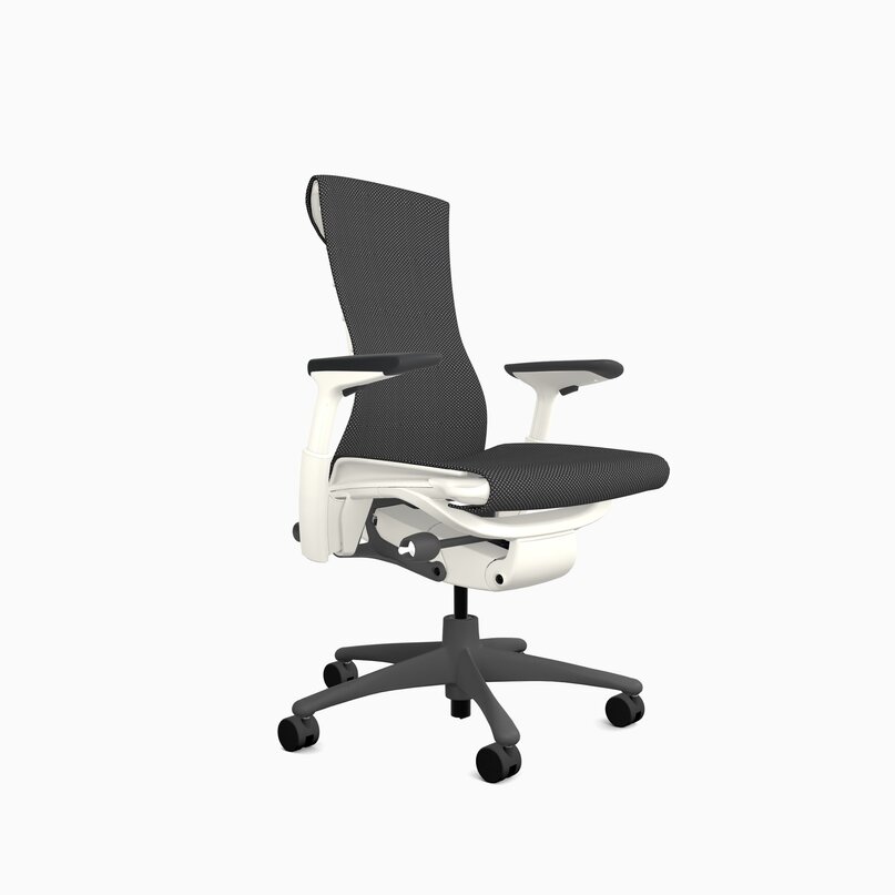 Herman Miller Embody Balance